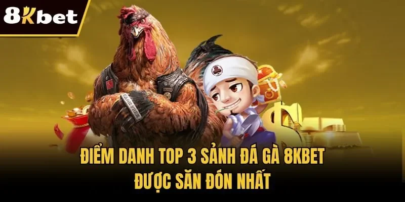 Điểm danh top 3 sảnh đá gà 8KBET được săn đón nhất