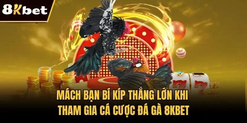 Mách bạn bí kíp thắng lớn khi tham gia cá cược đá gà 8KBET