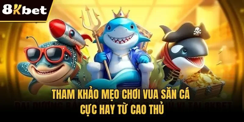 Tham khảo mẹo chơi vua săn cá cực hay từ cao thủ